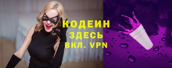МДПВ Инсар
