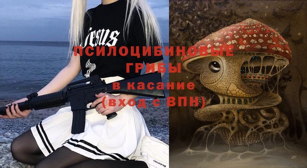 МДПВ Инсар