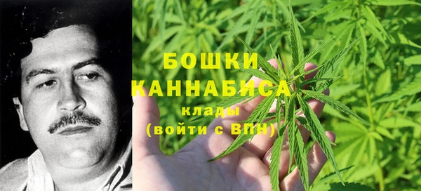 МДПВ Инсар