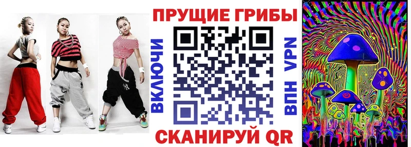 Купить где  Ветлуга  Псилоцибиновые грибы ЛСД 